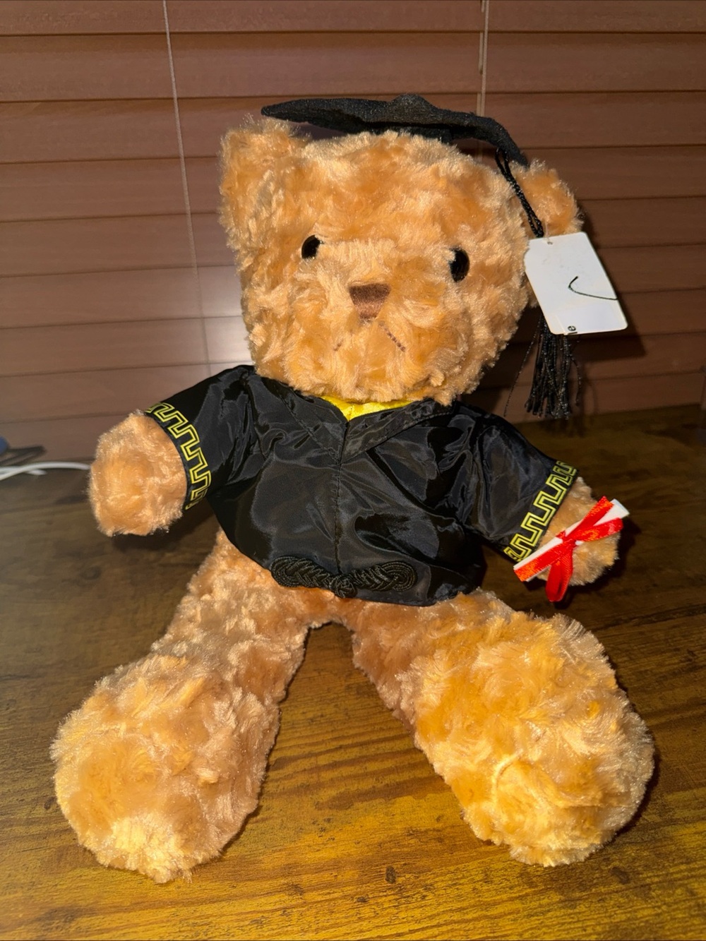 Graduation Teddy Bear in Black Cap & Gown with Red Ribbon Diploma 18 inch